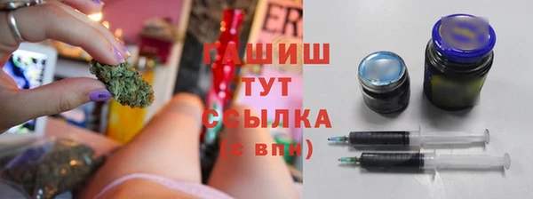 СК Сафоново