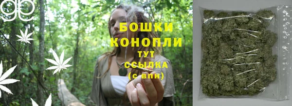 СК Сафоново