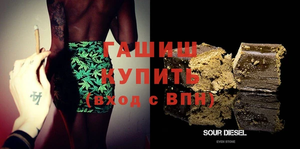 шишки Сатка