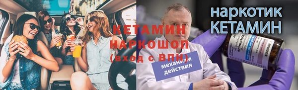 СК Сафоново