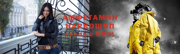 шишки Сатка